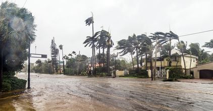 Florida storm