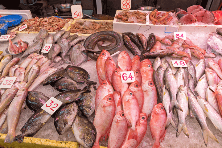 wuhan fish market